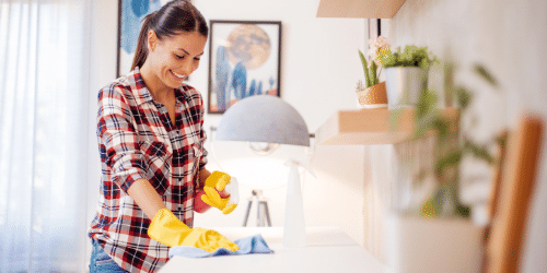 House cleaning services - Geneva House Cleaners