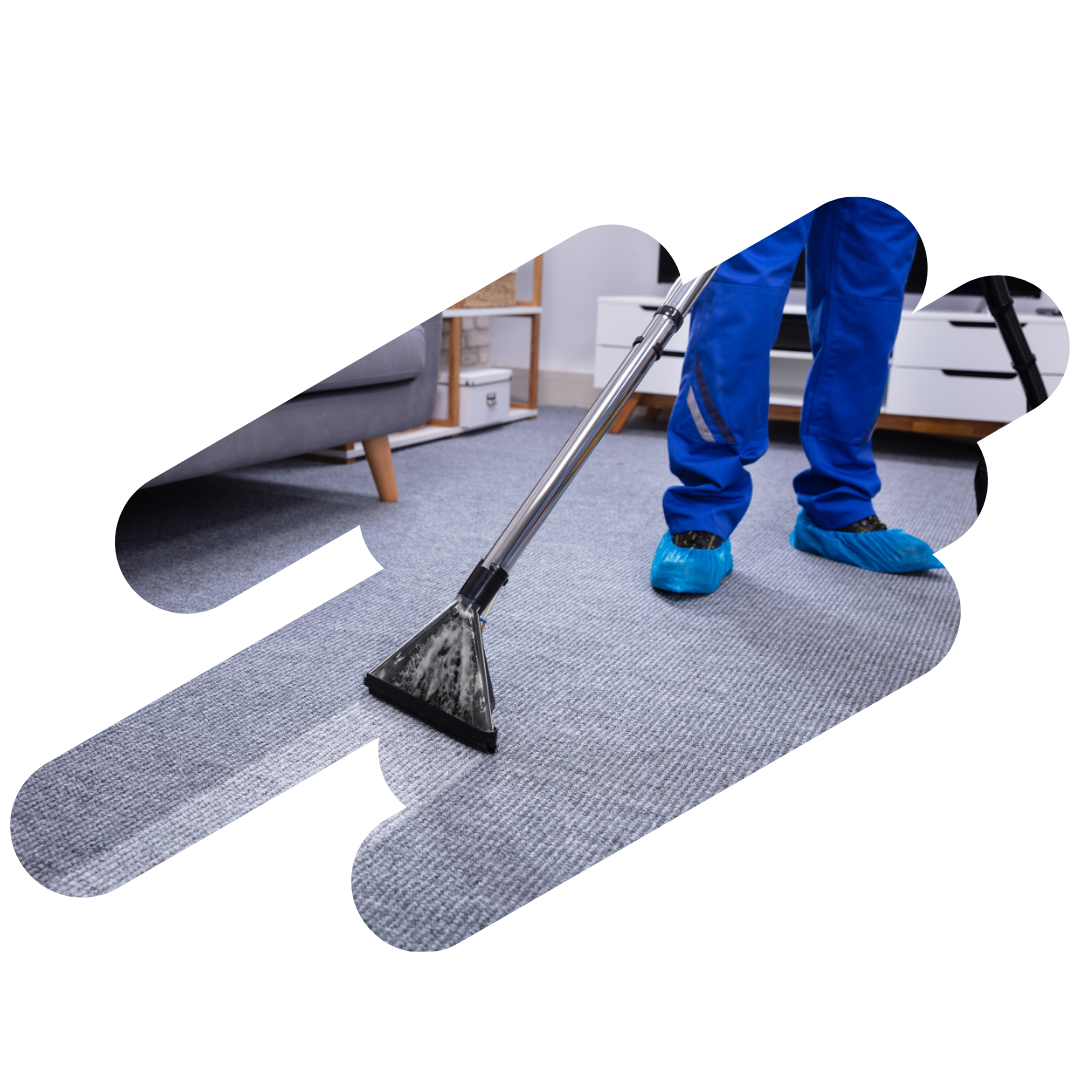 Carpet cleaning Geneva House Cleaners